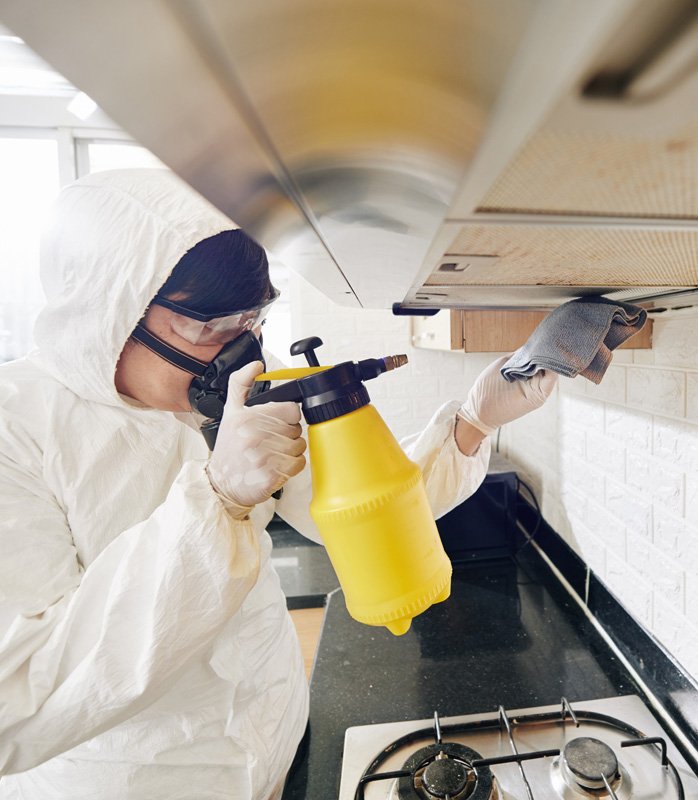 cleaning person with detergent
