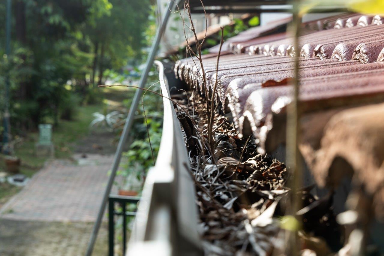 close up of clogged roof rain gutter full of dry leaves